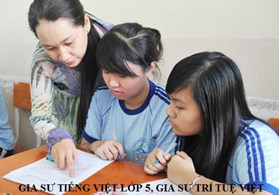 Gia sư tiếng Việt lớp 5 tại nhà TPHCM uy tín tận tâm