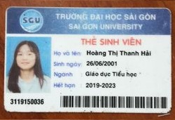 Gia sư Trí Tuệ Việt