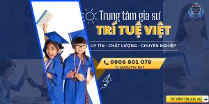 Trung tâm gia sư Trí Tuệ Việt